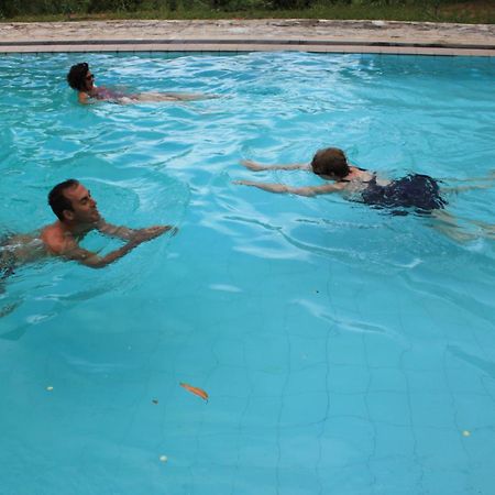 Jungle Tide Bed & Breakfast Kandy Ngoại thất bức ảnh