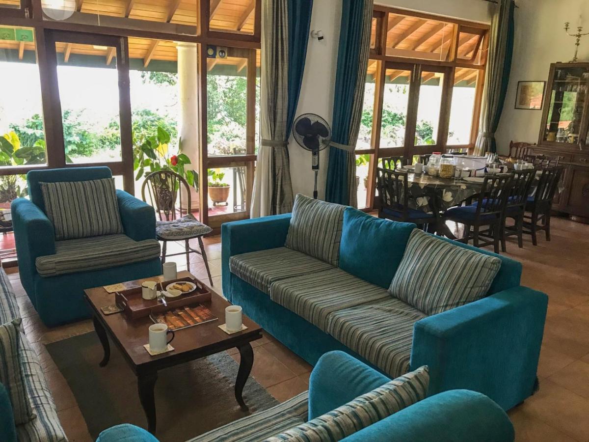 Jungle Tide Bed & Breakfast Kandy Ngoại thất bức ảnh