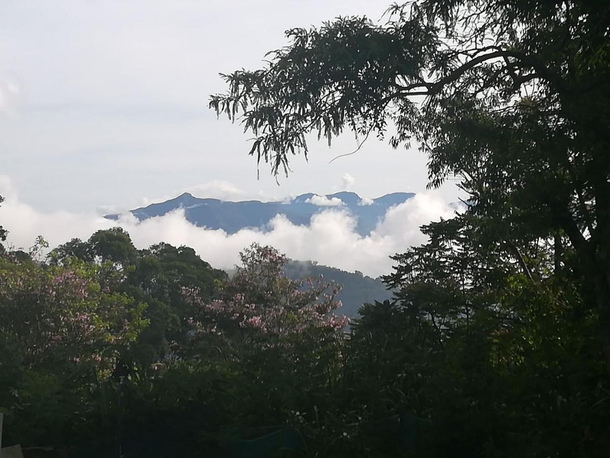 Jungle Tide Bed & Breakfast Kandy Ngoại thất bức ảnh