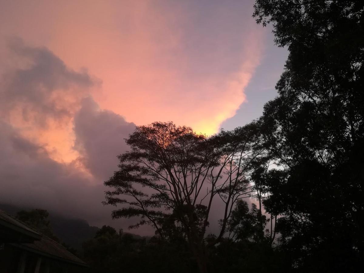 Jungle Tide Bed & Breakfast Kandy Ngoại thất bức ảnh