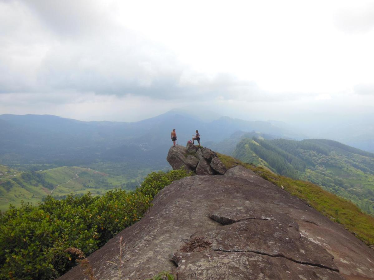 Jungle Tide Bed & Breakfast Kandy Ngoại thất bức ảnh