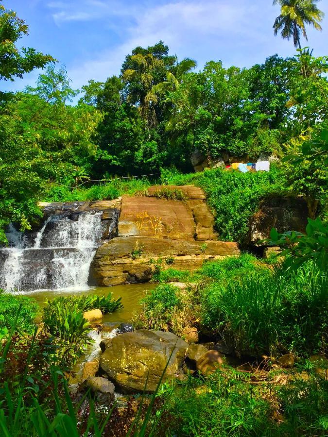 Jungle Tide Bed & Breakfast Kandy Ngoại thất bức ảnh