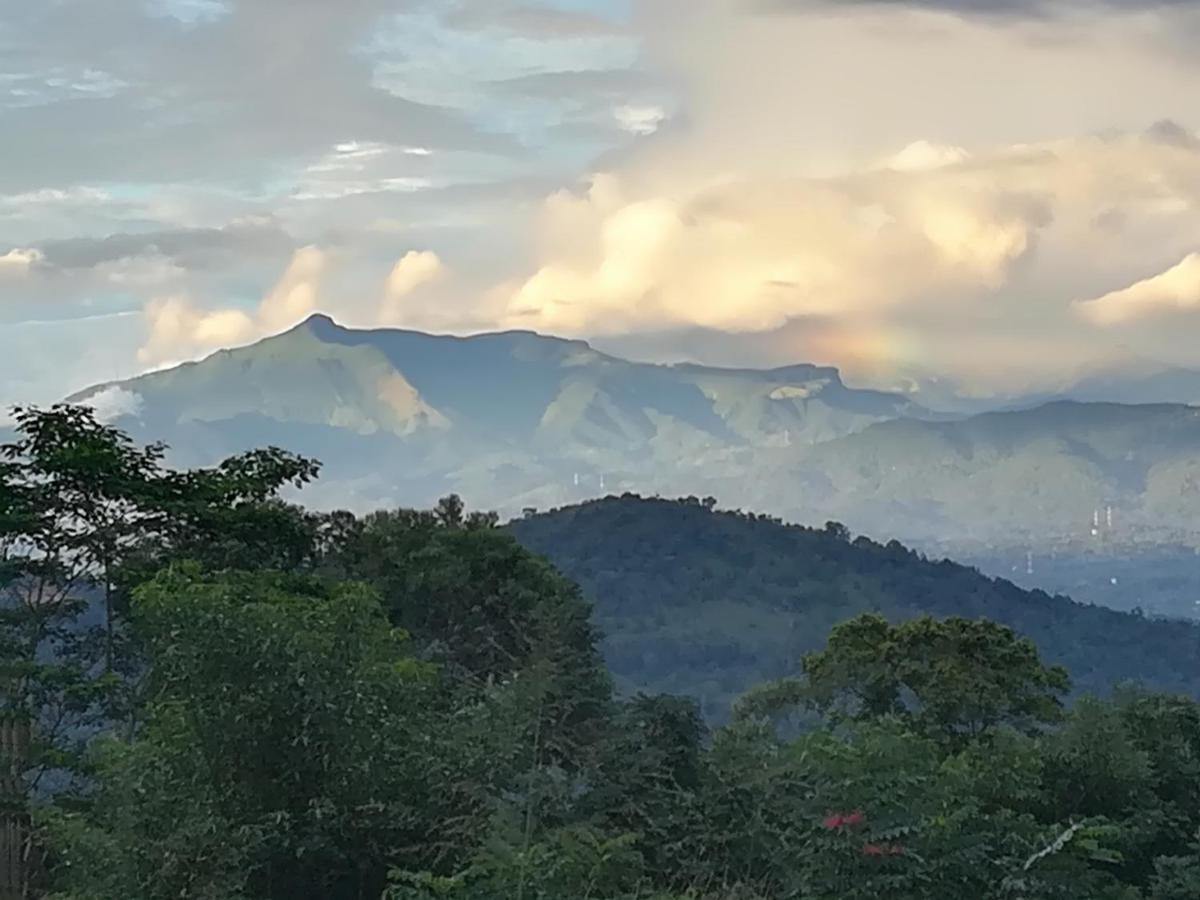Jungle Tide Bed & Breakfast Kandy Ngoại thất bức ảnh