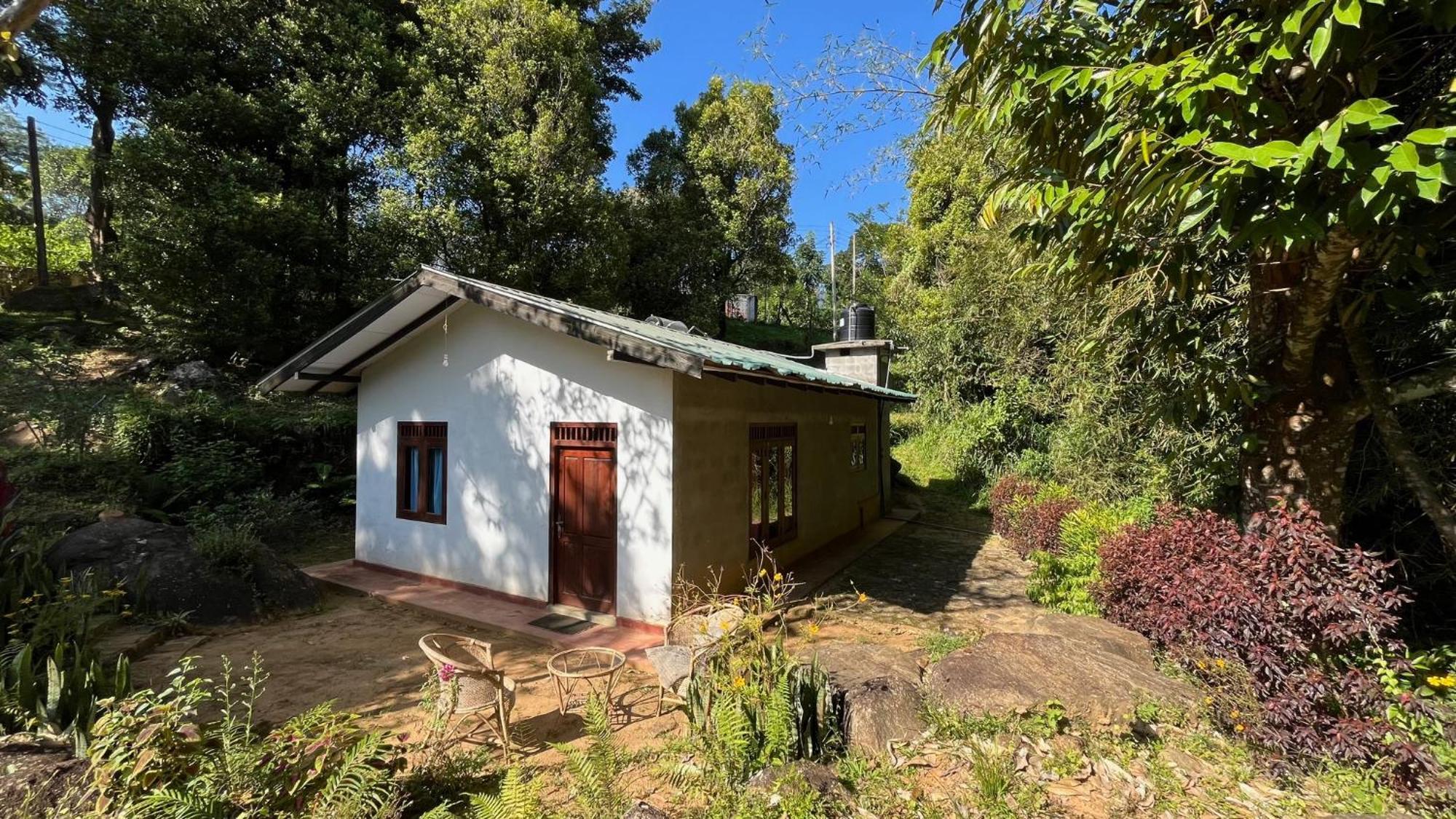 Jungle Tide Bed & Breakfast Kandy Ngoại thất bức ảnh