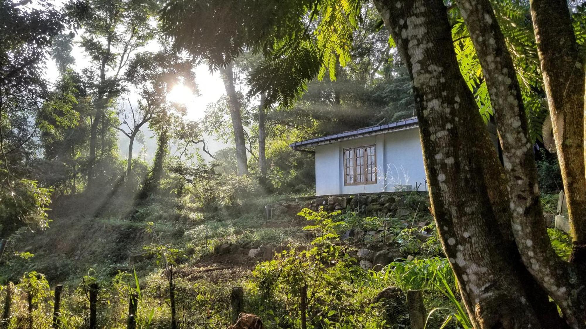 Jungle Tide Bed & Breakfast Kandy Ngoại thất bức ảnh