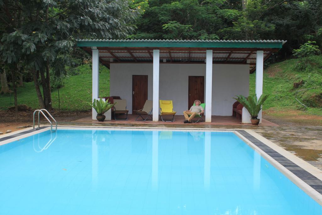 Jungle Tide Bed & Breakfast Kandy Ngoại thất bức ảnh