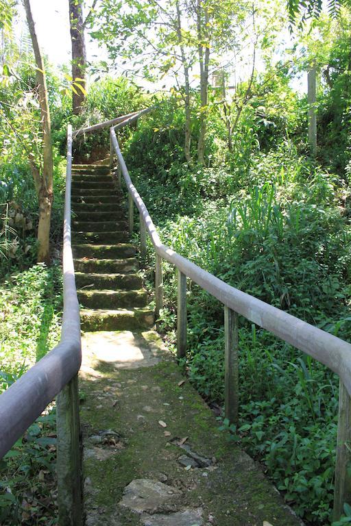 Jungle Tide Bed & Breakfast Kandy Ngoại thất bức ảnh