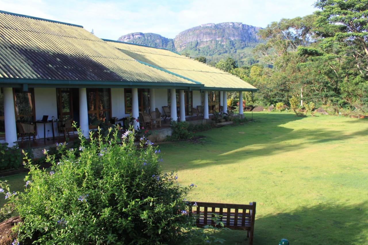 Jungle Tide Bed & Breakfast Kandy Ngoại thất bức ảnh