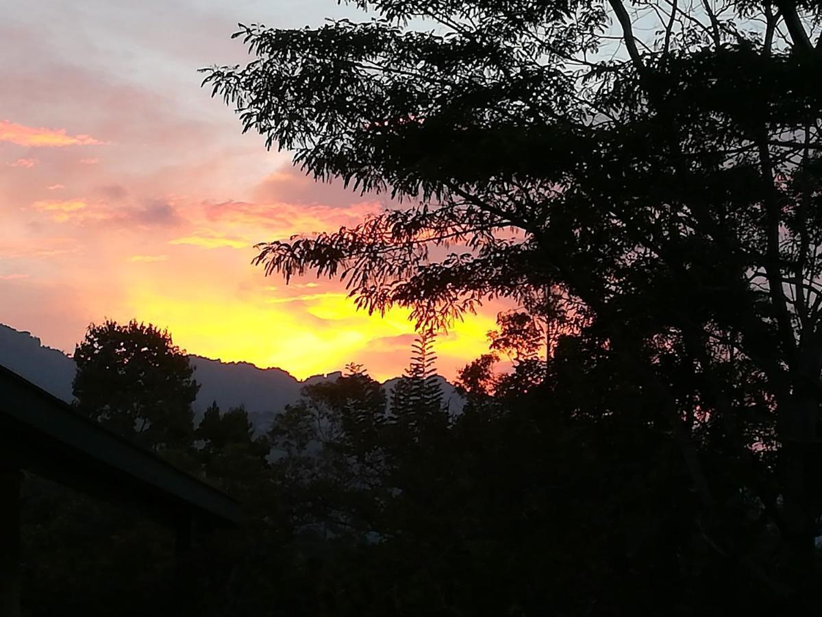 Jungle Tide Bed & Breakfast Kandy Ngoại thất bức ảnh